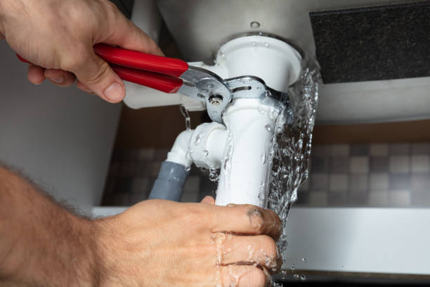 Best Water damage contractors near me  in Bridgeport, WA