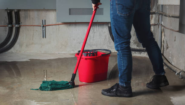 Best Carpet water damage restoration  in Bridgeport, WA