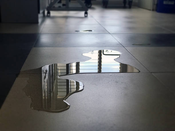 Best 24/7 water damage repair  in Bridgeport, WA