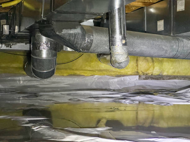 Best Flood damage cleanup  in Bridgeport, WA