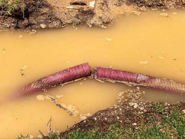 Best Water damage restoration specialists  in Bridgeport, WA