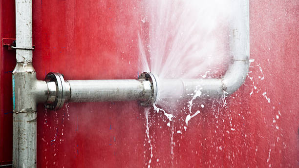 Best Water damage restoration specialists  in Bridgeport, WA