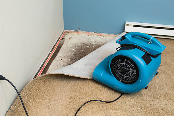 Best Water damage cleanup near me  in Bridgeport, WA